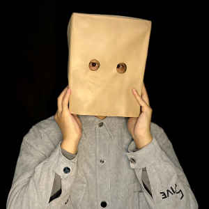 仿真纸箱头套全脸cos我的世界drm派对搞怪沙雕道具盒子方块面具男