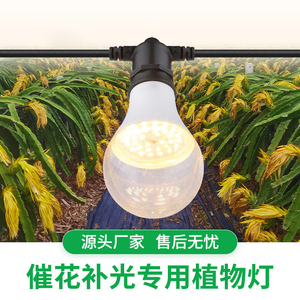LED全光谱植物生长灯泡火龙果盆景蔬菜兰花卉育苗上色多肉补光灯