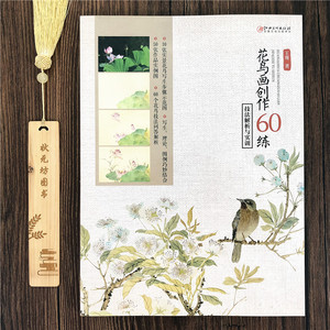 《花鸟画创作60练》花鸟技法解析与实训 水墨花鸟画写生教程 国画技法