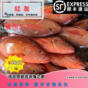 【鲷鱼海鲜水产】鲷鱼海鲜水产品牌,价格 - 阿里巴巴