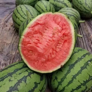 北京闪送1箱4个15斤 正宗庞各庄吊瓜 西瓜小薄皮脆甜多汁新鲜水果