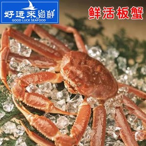 北京闪送 2-3斤/只鲜活海鲜 大板蟹 松叶蟹 长脚蟹 雪蟹 帝王蟹