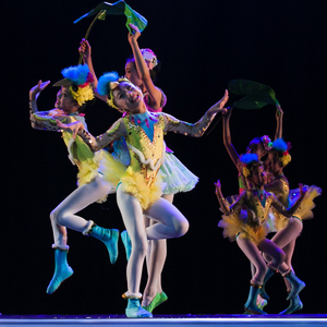 第九届小荷风采小鸟归家家儿童舞蹈演出服黄鹂鸟小鸡头饰表演出服