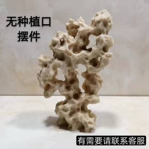 吴定石盆景 台湾吸水石上水石苔藓附石观赏石装饰 无种植口小摆件