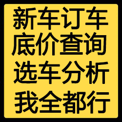 新车提车新车定金帮买车报价新车大全代购车柒七skd同款货源10