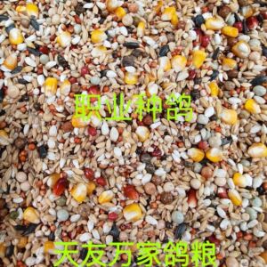 天友万家鸽粮