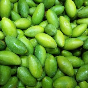 精品新鲜青橄榄果福建生橄榄生吃.水果闽清檀香榄青果500g包