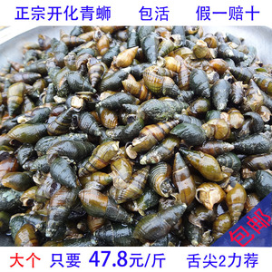 开化青蛳野生清水山坑螺蛳衢州青丝舌尖美食鲜活田螺钉螺石螺包邮