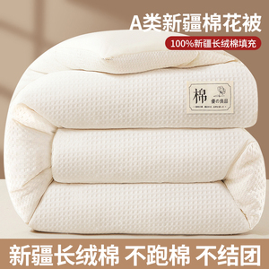 新疆棉花被被子冬被纯棉花秋冬被芯2023新款冬季棉被加厚保暖10斤