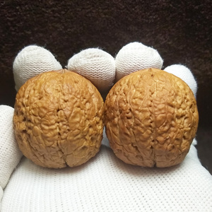 云南野生精品铁核桃蟒皮纹罗汉头绣球元宝老铁文玩核桃珍品收藏