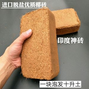 压缩椰糠砖