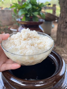 湖南邵阳农家自制甜酒