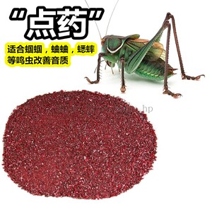 蝈蝈点药本叫鸣虫粘药朱砂石粉改善音质蛐蛐蟋蟀撒药天然朱砂包邮