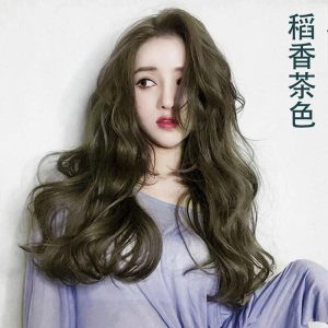 稻香茶色染发剂2021流行色显白自己在家染发纯植物染发膏泡泡沫女