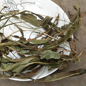 中药材七星剑 天然纯七星草小叶骨牌草 丹瓦剑草 正品500克包邮