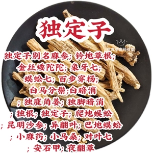 金铁锁中药材