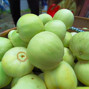 【湖南甜瓜】湖南甜瓜品牌,价格 - 阿里巴巴