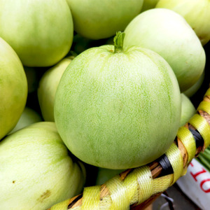 【湖南甜瓜】湖南甜瓜品牌,价格 - 阿里巴巴