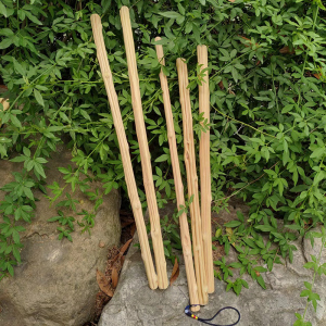 儿童幼儿学生小孩子老师上课神器国学勤学劝学朱子家训戒条藤条教棒