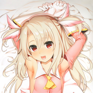 南無三 魔法少女伊莉雅 伊莉雅丝菲尔·冯·爱因兹贝伦 等身抱枕