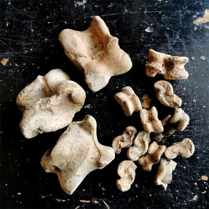 汉唐羊拐骨嘎拉哈老文玩碳化骨头兽骨旮旯手把件羊骨骨雕杂项龙骨