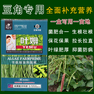 叶姆豆角专用叶面肥豆角专用农药豆角嫩直长叶面肥豆角拉长拉直素