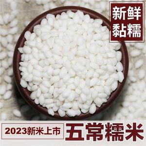 2023新糯米东北圆粒糯米5斤/10斤黑龙江粘大米 五常江米 包粽子米