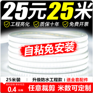 220v灯带led户外防水工程超亮家用客厅吊顶装饰霓虹氛围线形灯条