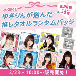 AKB48 春コンサート2024 柏木由纪毕业演唱会 推しタオル徽章盲袋
