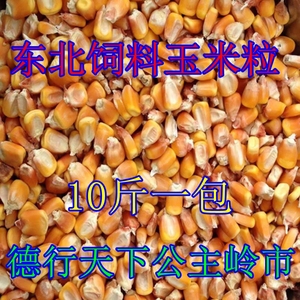 东北新干玉米包谷玉米粒10斤饲料粒杂粮鸡鸭鸽子宠物鼠类钓鱼打窝