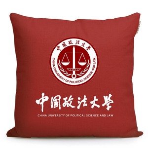 中国政法大学纪念品法大周边定制励志礼品学生礼物赠品靠垫抱枕