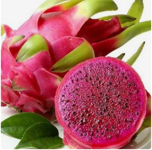 贵州罗甸产地直发 红心火龙果 新鲜水果当季整箱当天现摘爆甜多汁