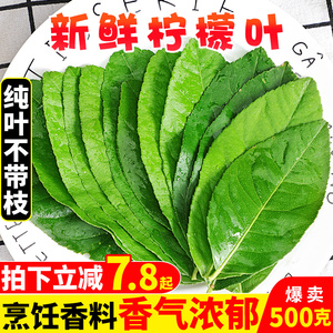 新鲜柠檬叶青柠叶500g烹饪香料西餐料理冬阴功汤原料火锅配料包邮