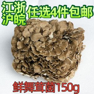 舞茸菇新鲜