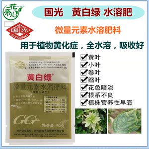 植物营养液国光黄白绿黄叶必治栀子花杜鹃铁树微量元素水溶叶面肥