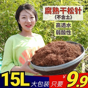 松针土腐熟松针腐殖土营养土透气酸性君子兰专用土腐叶土松毛土