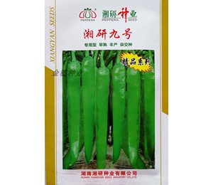湘研种业辣椒种