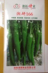 隆平高科湘研种业湘研166辣椒种子