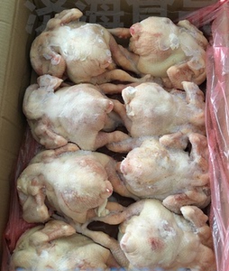 新鲜冷冻三黄鸡 整鸡童子鸡 三黄土鸡 19斤 江浙沪皖包邮