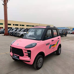 特鲁夫小型女性全封闭电动四轮车成人新电瓶车接送孩子新能源汽车