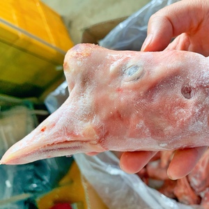 老鹅头 新鲜冷冻 大鹅头 带包鹅头 鹅脑袋 干净无毛 整箱20斤包邮