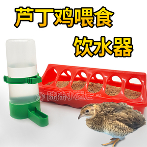 芦丁鸡喂食器食槽鹌鹑雏鸡自动饮水器喝水壶鹦鹉食盒饲料盒喂水器
