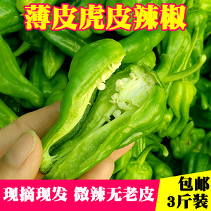 浙江皱皮辣椒新鲜虎皮辣椒青辣椒微辣薄皮土辣椒春椒当季农家现摘