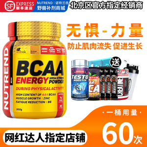 诺特兰德bcaa支链氨基酸健身增肌蛋白粉氨肌酸粉支链氨氨基酸500g