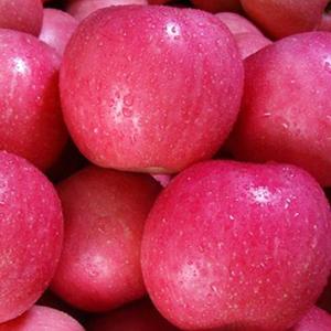 红富士苹果甘肃水果特价十斤装包邮新鲜双十一农家红富士水晶富士
