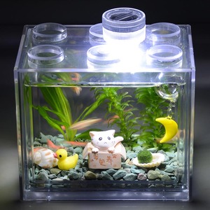 生态瓶鱼微景观创意斗鱼缸diy水培植物办公室创意鱼缸海藻球景观