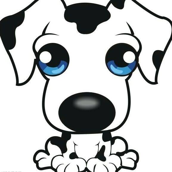 神犬小七宠物乐园