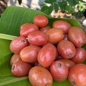 云南德宏特产水果