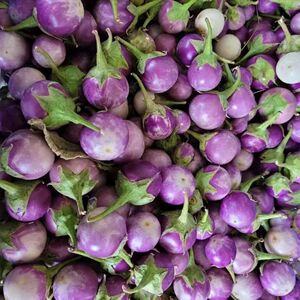 泰国小茄子圆茄