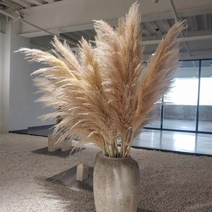 网红精品雄大蒲苇芦苇干花橱窗摆件婚庆现场拍摄道具落地插花装饰